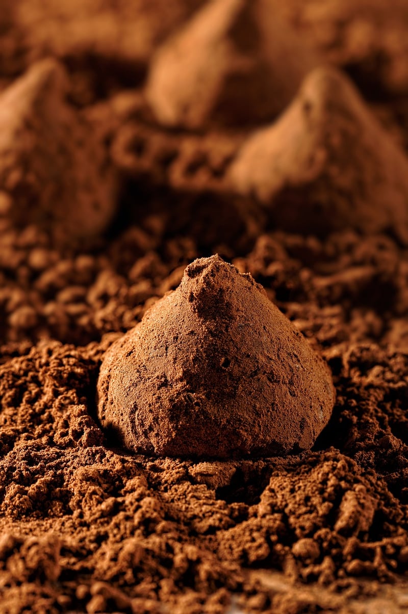 Chocolate Tasting